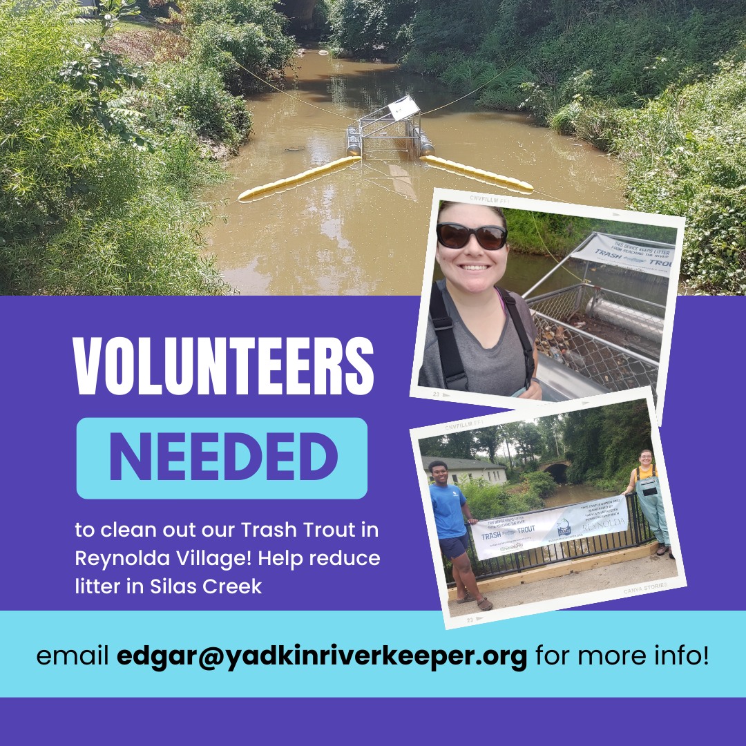 Creek Cleanup with Yadkin Riverkeeper Piedmont Environmental Alliance